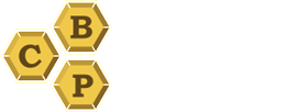 The Center for Biostatistical Programming